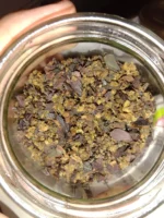 Changa for sale in the UK – premium DMT herbal blend from DMTNEXUS
